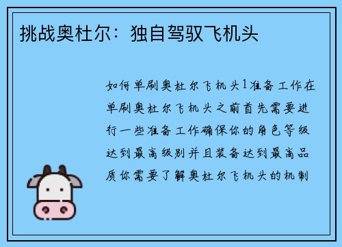 挑战奥杜尔：独自驾驭飞机头